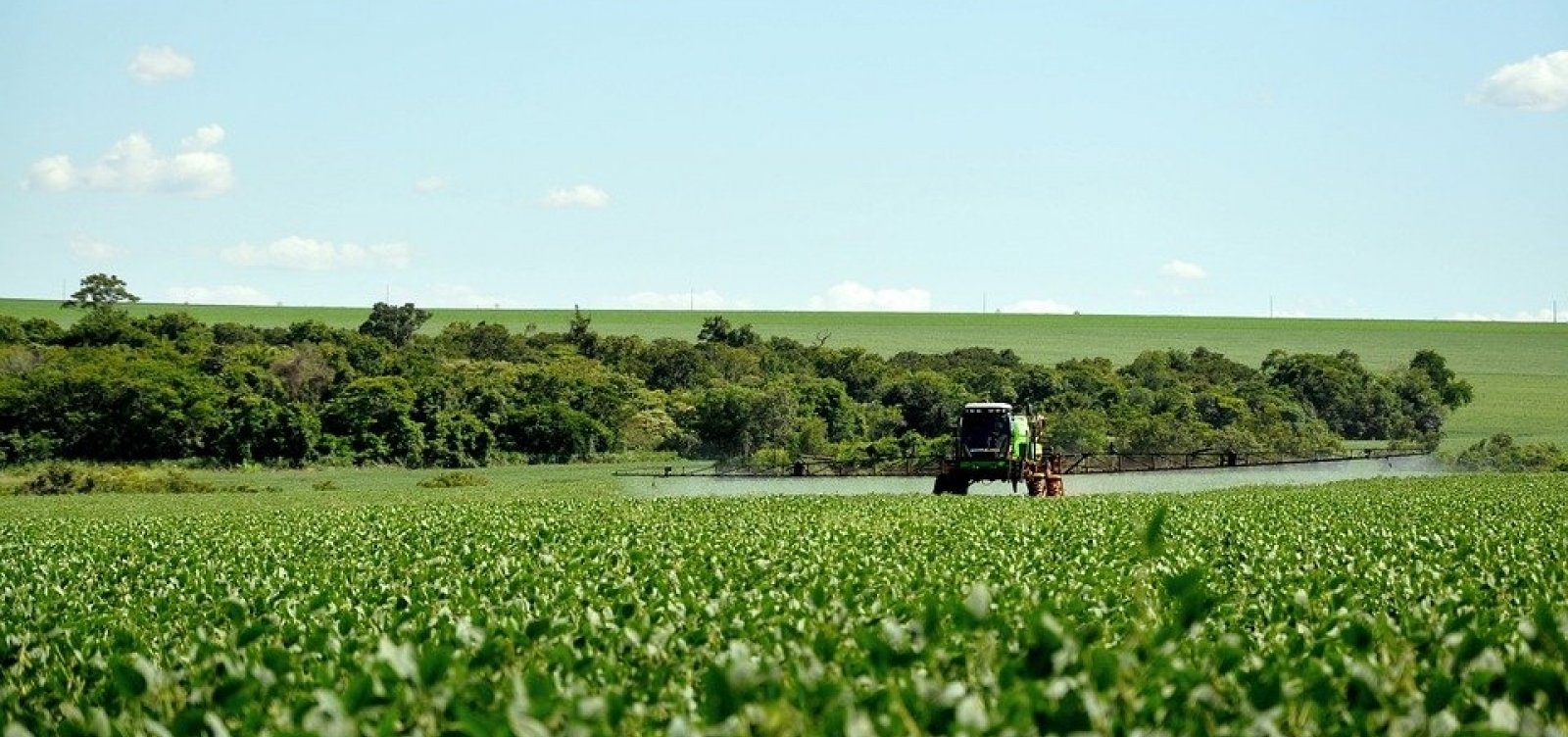 UE proíbe 30% dos ingredientes de agrotóxicos liberados no Brasil