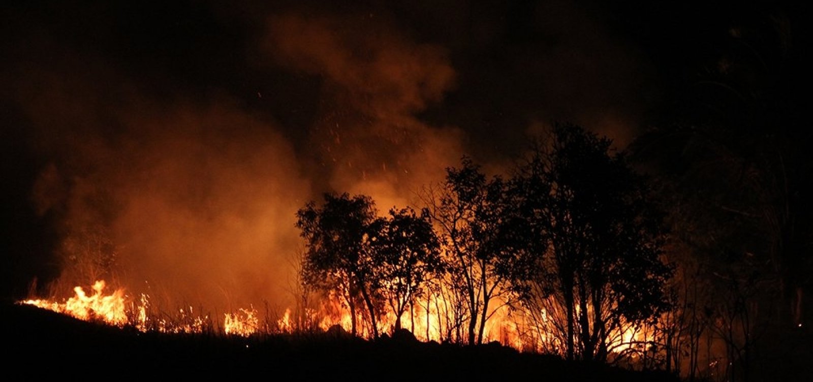 Incêndios na Amazônia afetam crianças e custam R$ 1,5 milhão ao SUS