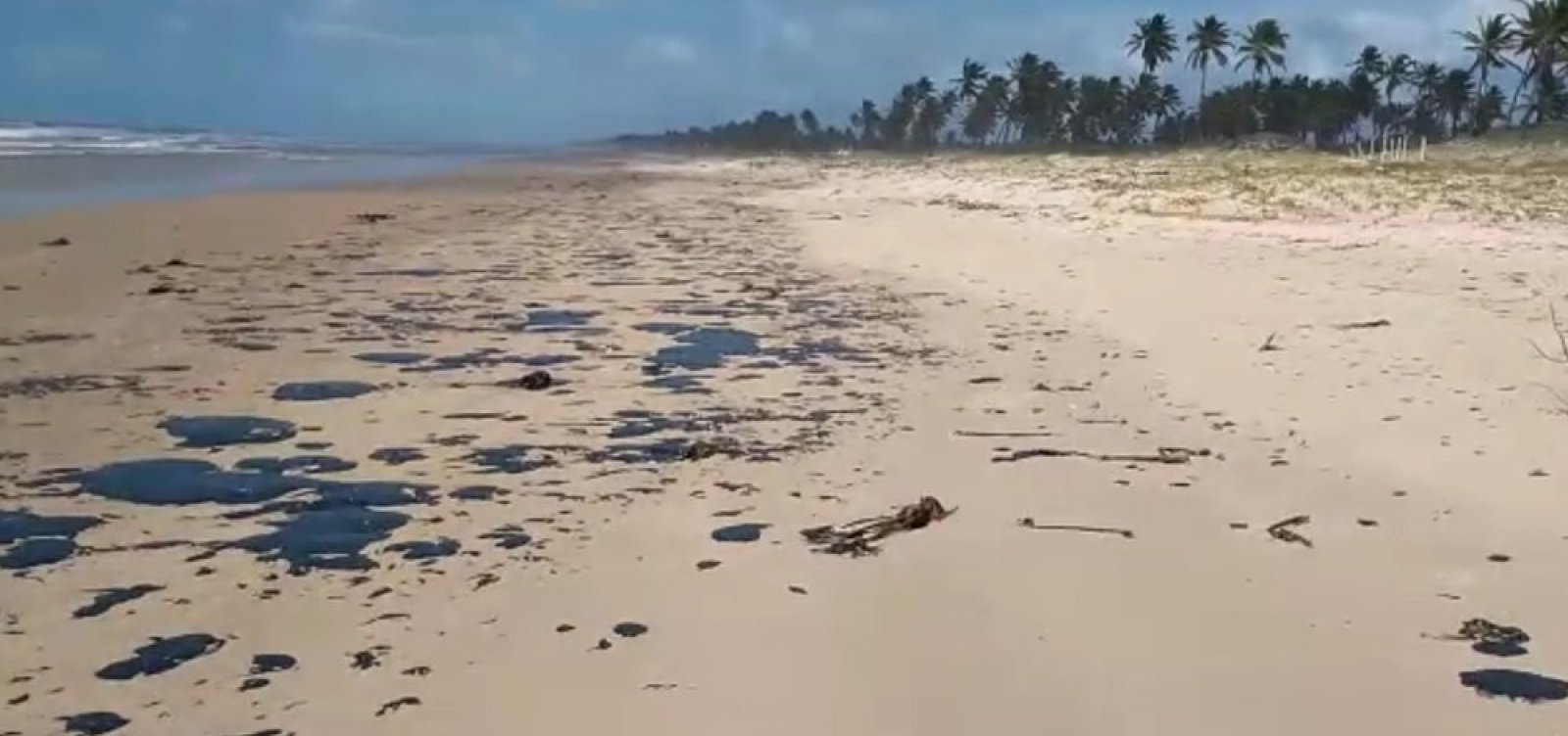 Manchas de óleo que atingem litoral do Nordeste chegam na Bahia