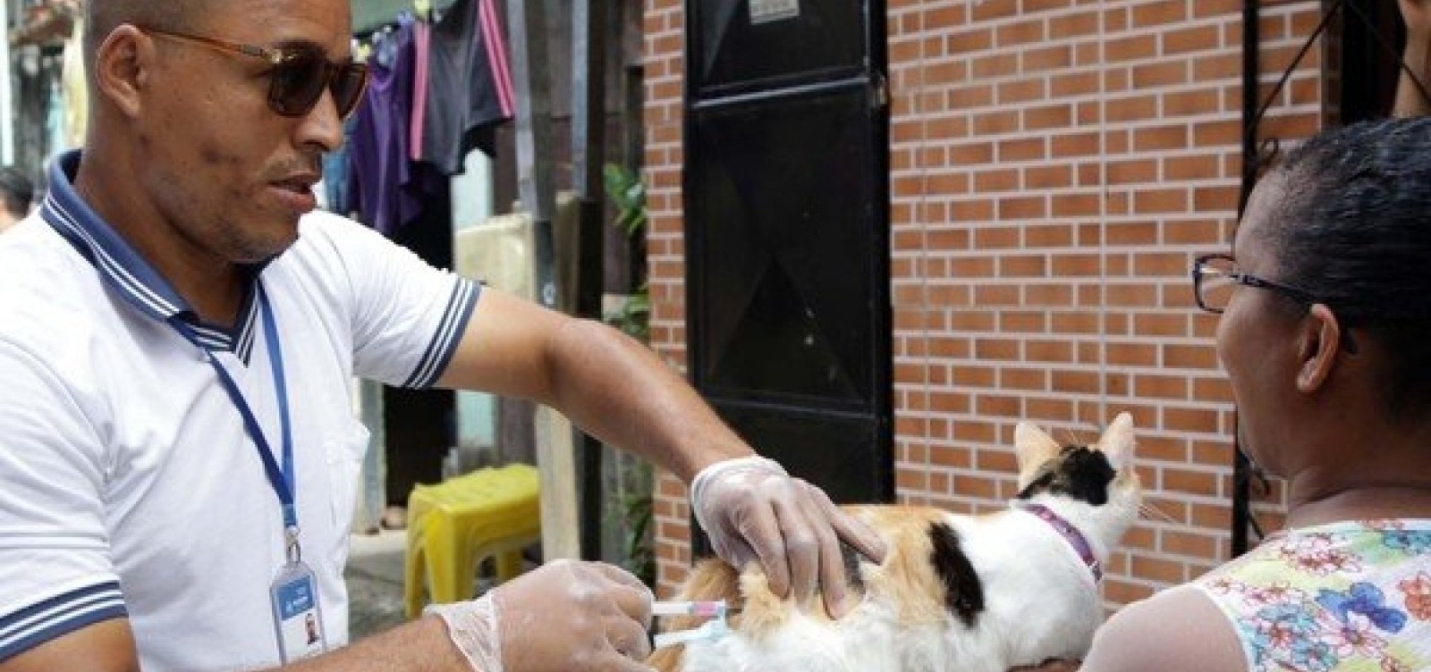 Secretaria Municipal de Saúde oferece vacina antirrábica gratuita para cães e gatos