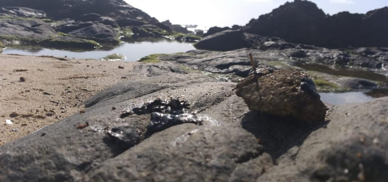 Fragmentos de mancha de óleo são localizados nas praias do Flamengo e Jardim dos Namorados