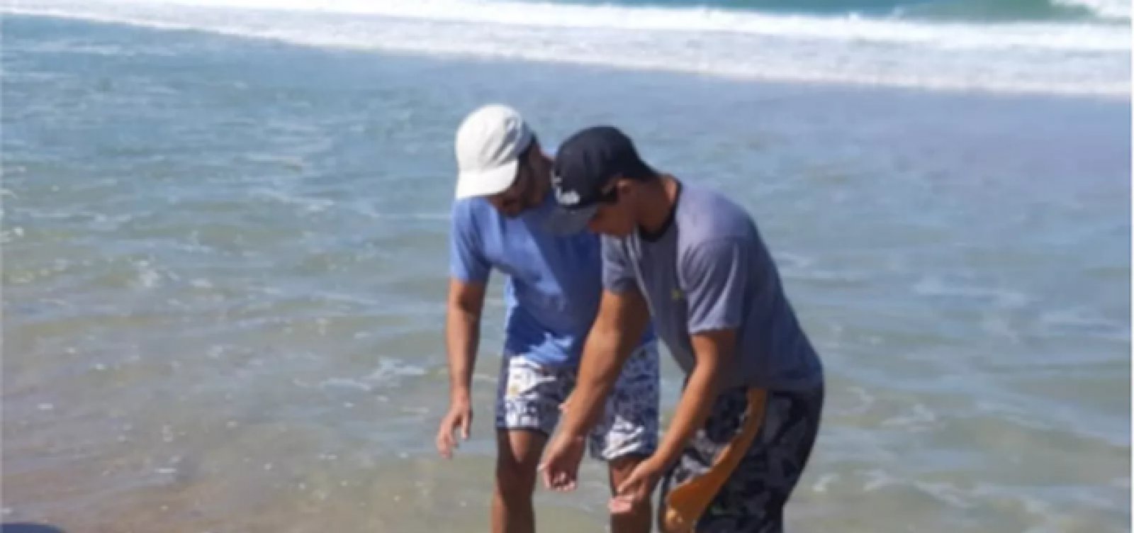 Ceará já contabiliza 23 tartarugas mortas após surgimento de manchas de óleo no mar