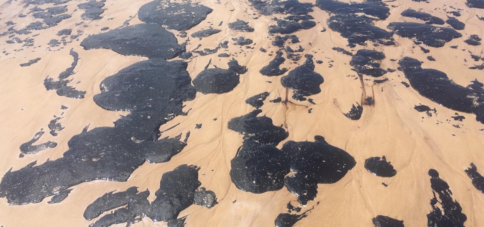 Manchas de óleo atingem praia da Pituba, em Salvador; veja vídeo