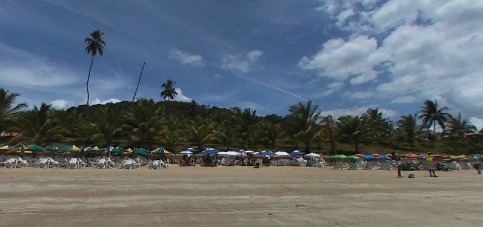 Óleo nas praias: Fundação Baía Viva acompanha balneabilidade de Ilha dos Frades