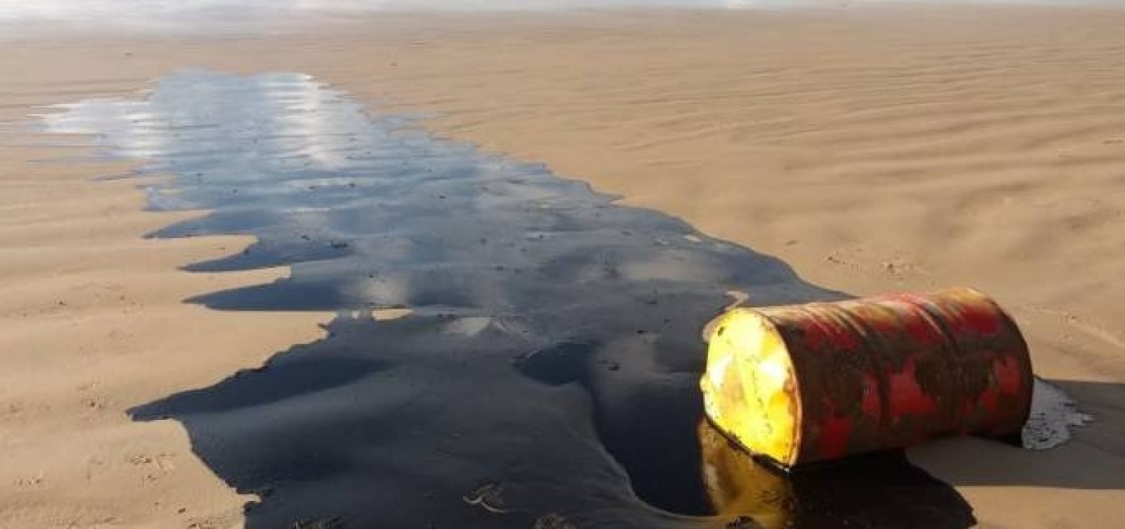Shell é acionada na Justiça após barril de óleo ser encontrado no mar