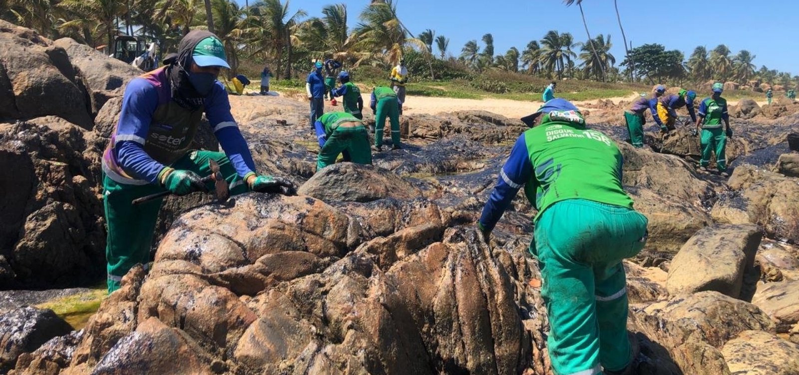Especialistas reclamam de falta de transparência na apuração de vazamento de óleo
