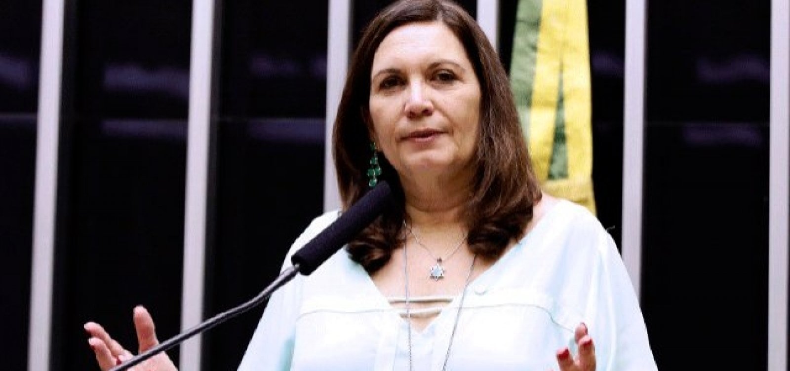 Deputada do PSL tinha planilha para oferecer cargos em ministérios, dizem colegas