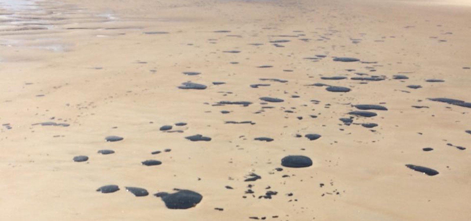 Manchas de óleo chegam à Praia do Norte, em Ilhéus