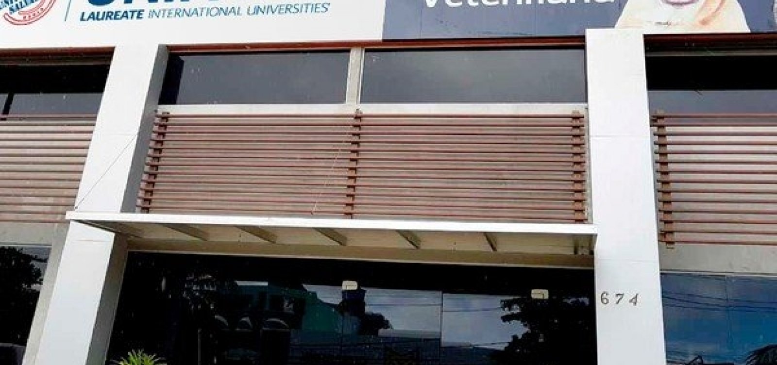 Clínica no Imbuí oferece atendimento para prevenção do câncer de mama em animais