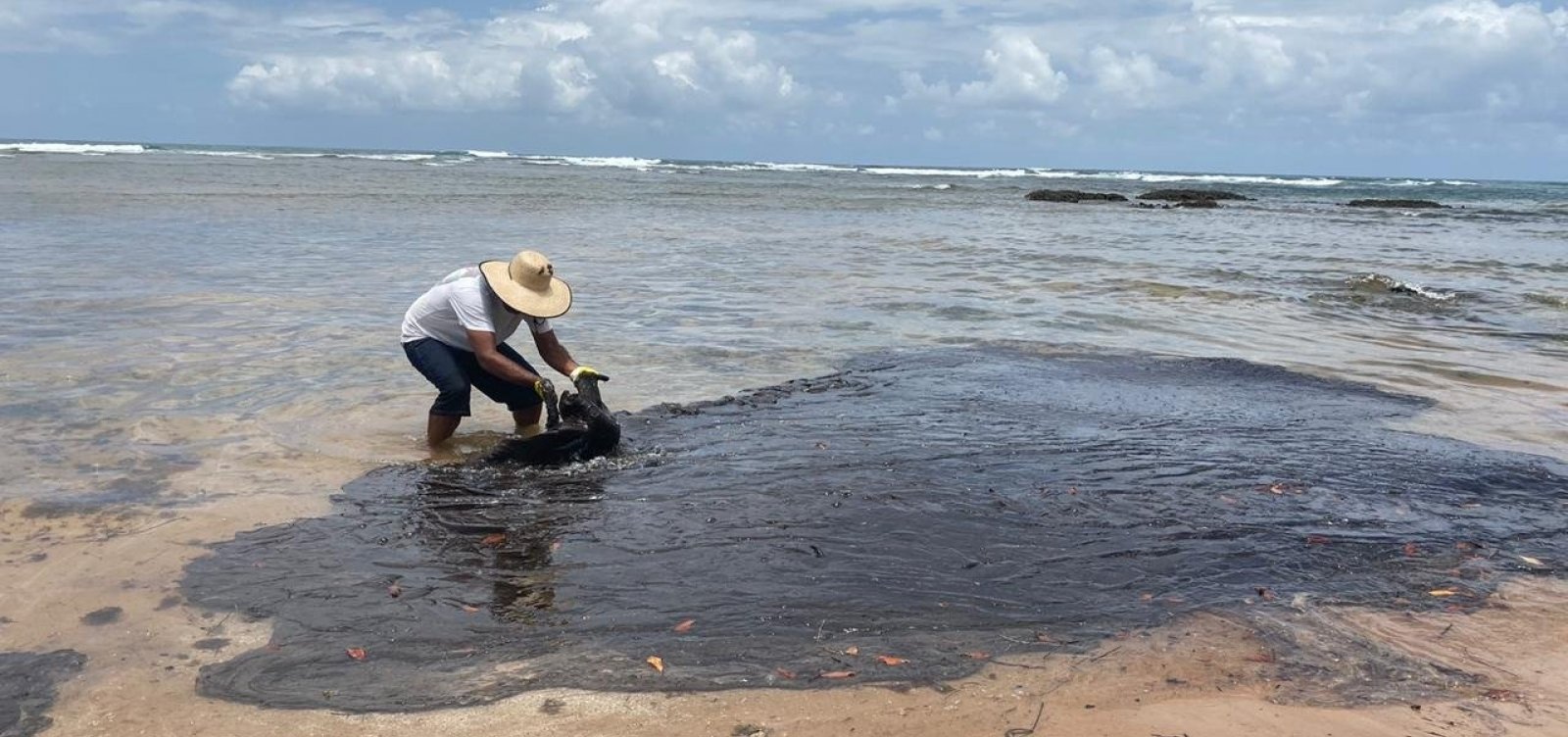 Manchas de óleo são encontradas em praias de Canavieiras