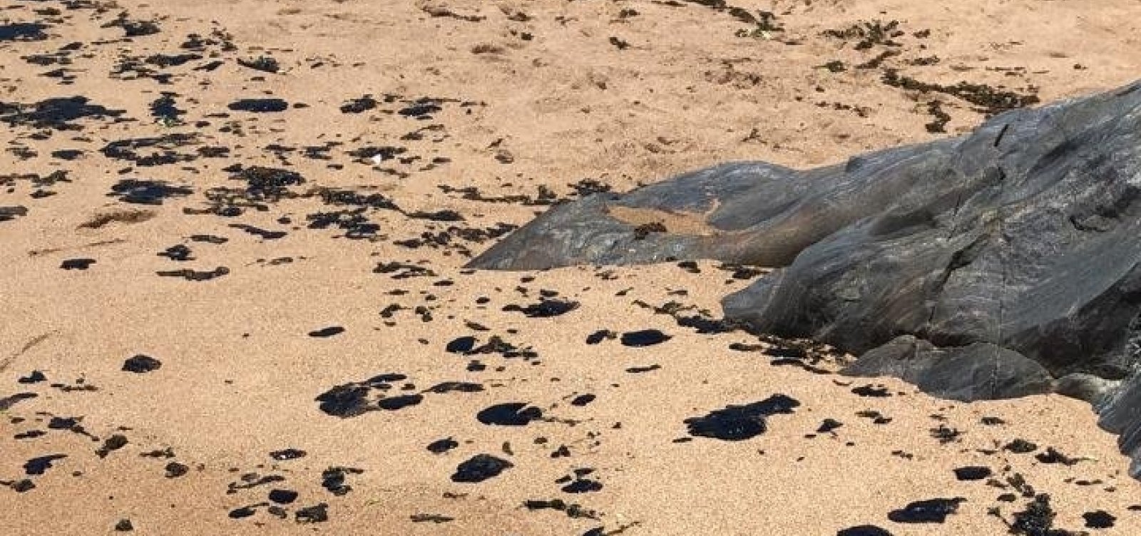 Praia de Busca Vida amanhece com manchas de óleo na areia
