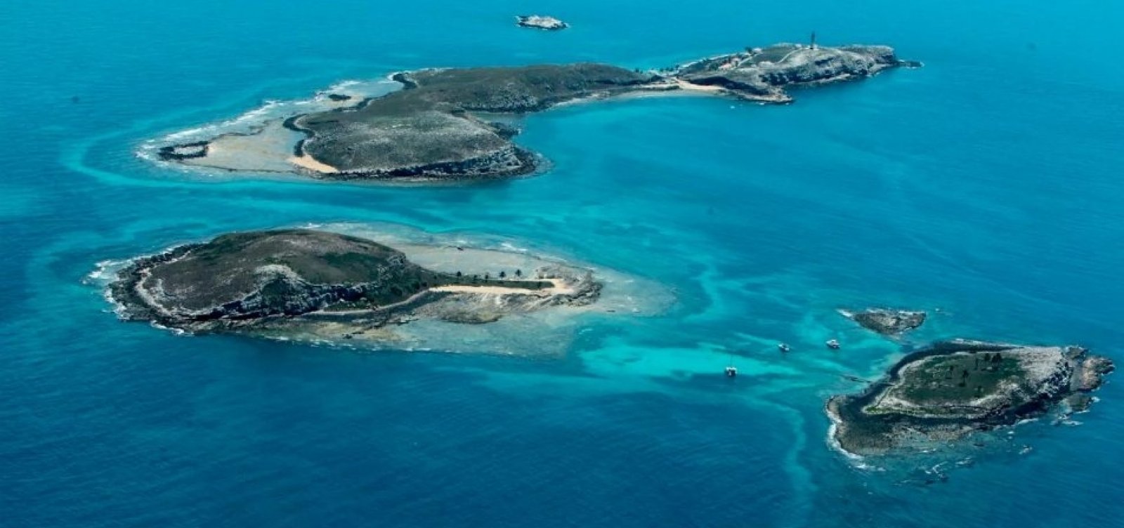 Com redução de manchas de óleo, Parque Nacional de Abrolhos é reaberto