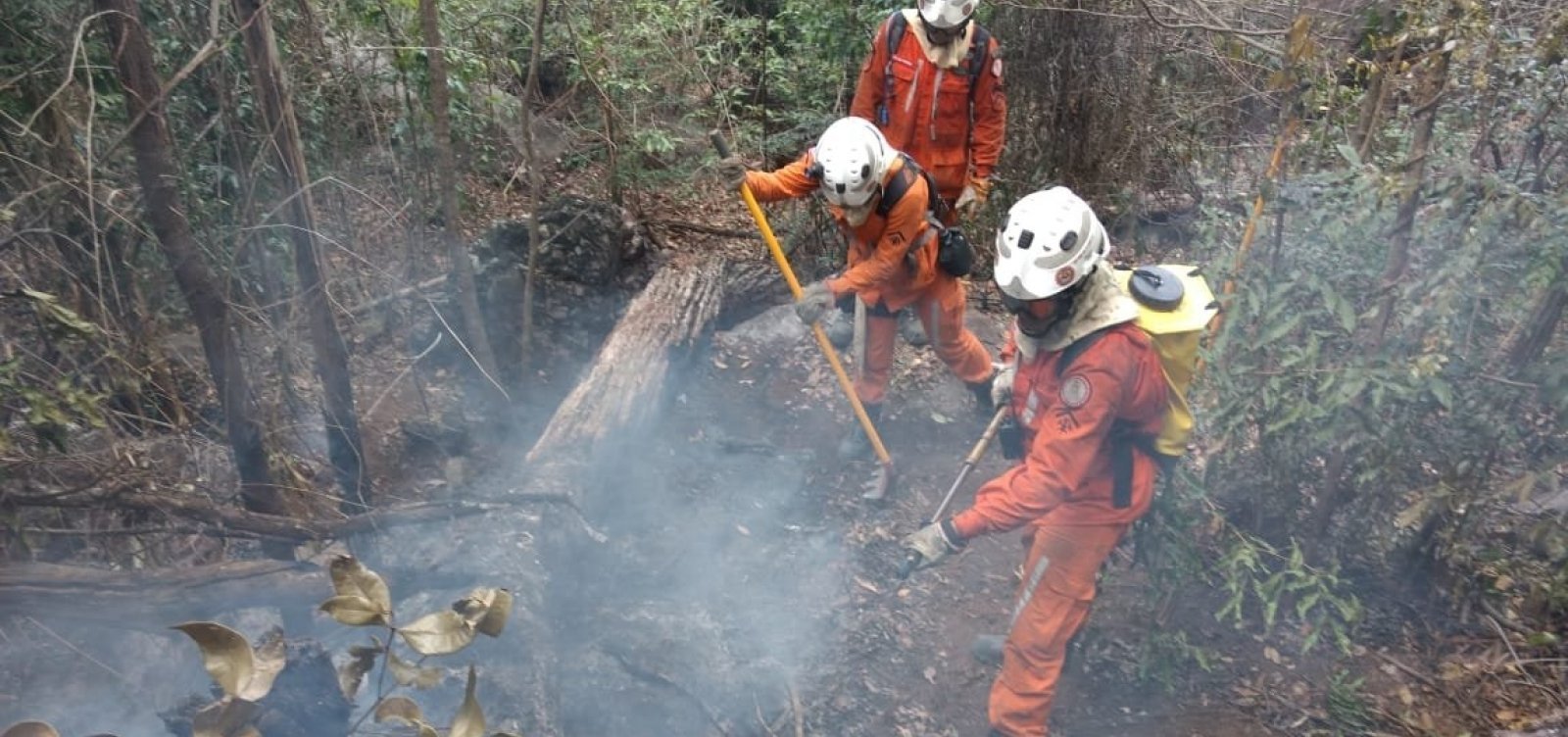 Chapada Diamantina: incêndio florestal em Rio de Contas é controlado por bombeiros