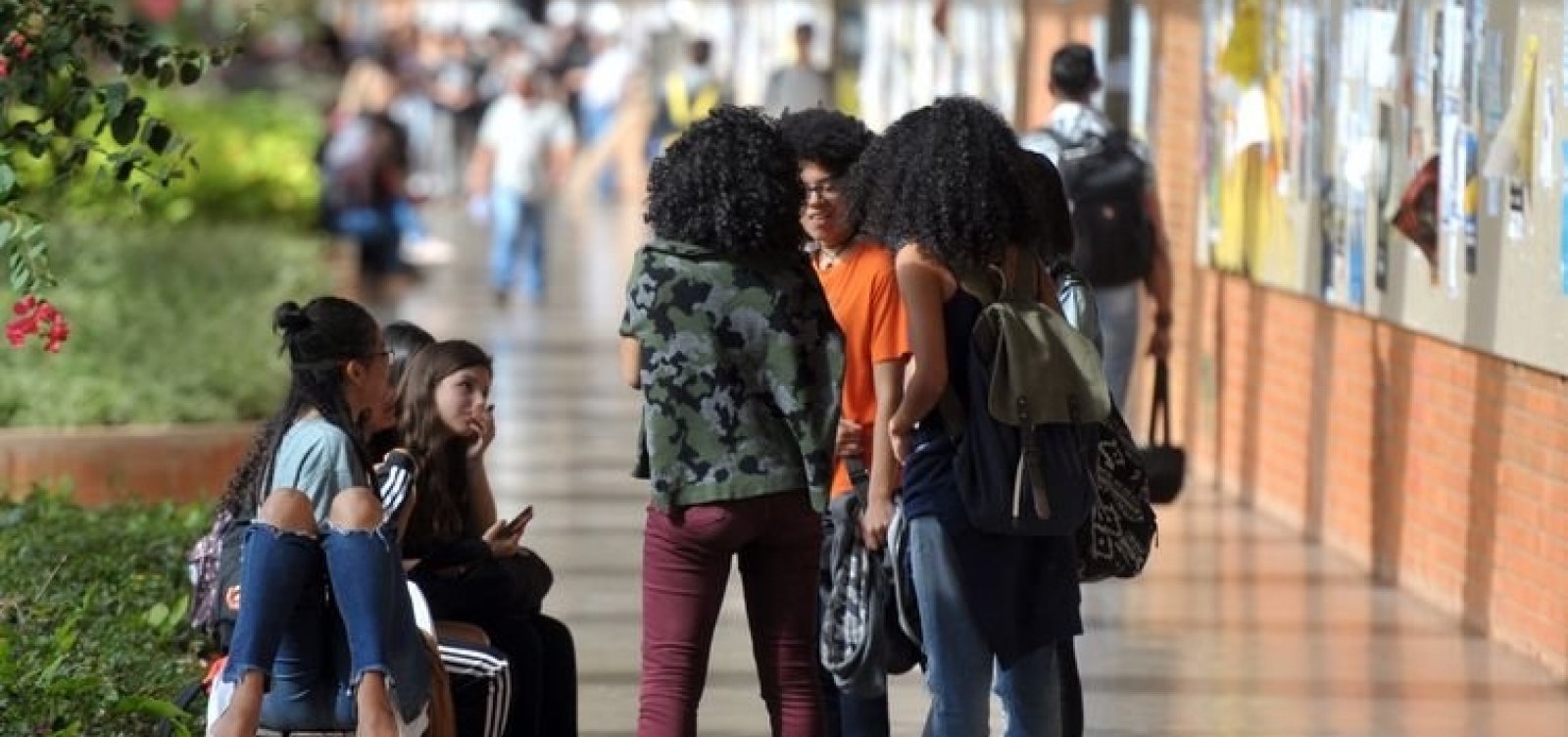 Pretos e pardos são maioria nas universidades públicas brasileiras, diz IBGE
