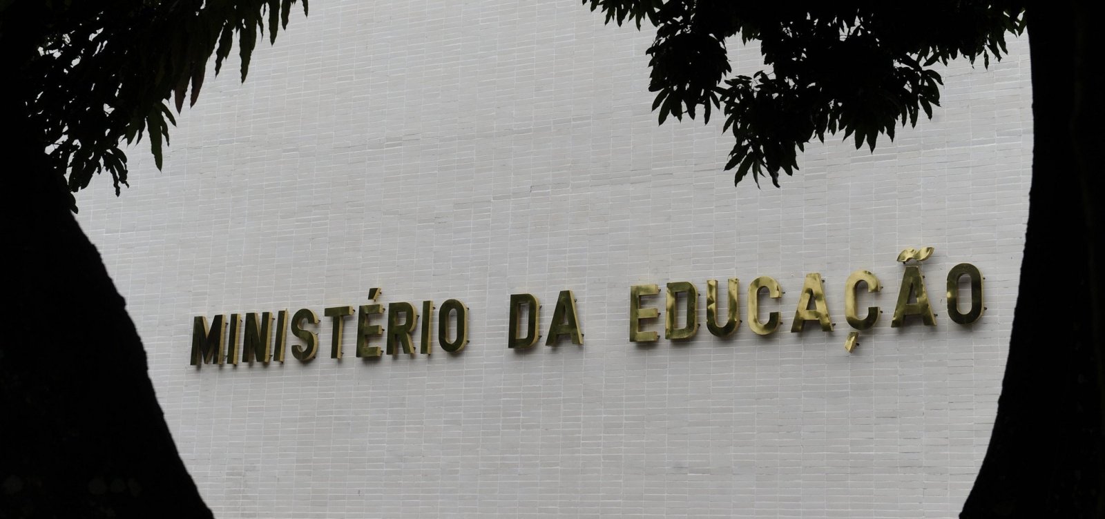 Advogada que defendia empresas de educação é nomeada para cargo no MEC; comissão apura