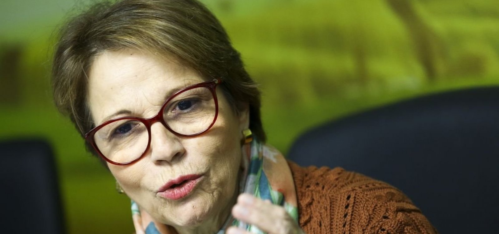 Preço da carne não vai baixar, diz ministra da Agricultura