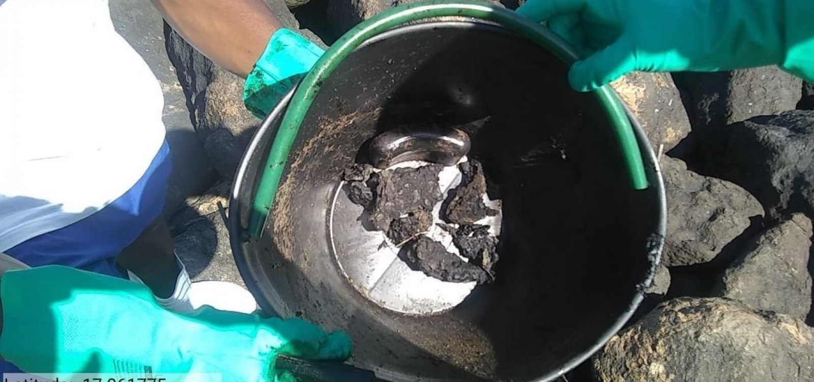 Duas amostras de peixe apresentam níveis altos de contaminação por óleo