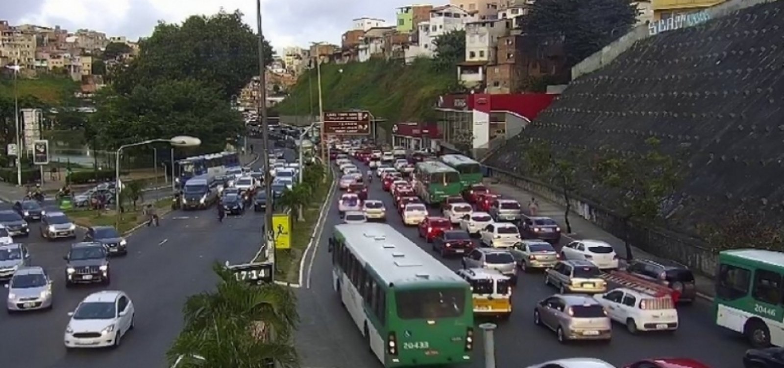 Árvore cai no Dique do Tororó e pista fica parcialmente interditada
