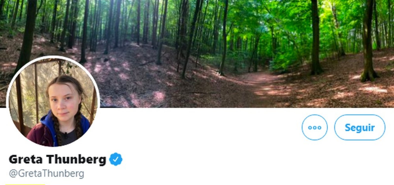 Após declaração de Bolsonaro, ativista Greta Thunberg muda descrição no Twitter para 'pirralha'