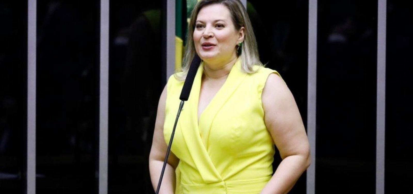 Joice Hasselmann é a nova líder da bancada do PSL na Câmara