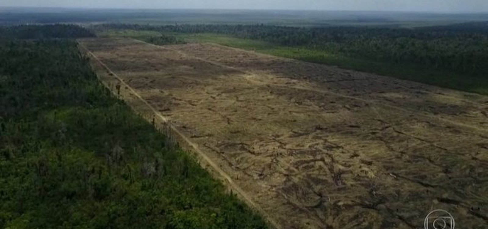 Área sob alerta de desmatamento na Amazônia no mês de novembro aumenta 103,7%, aponta Inpe