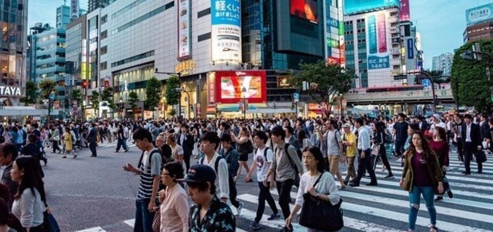 População do Japão encolhe em 500 mil em um ano