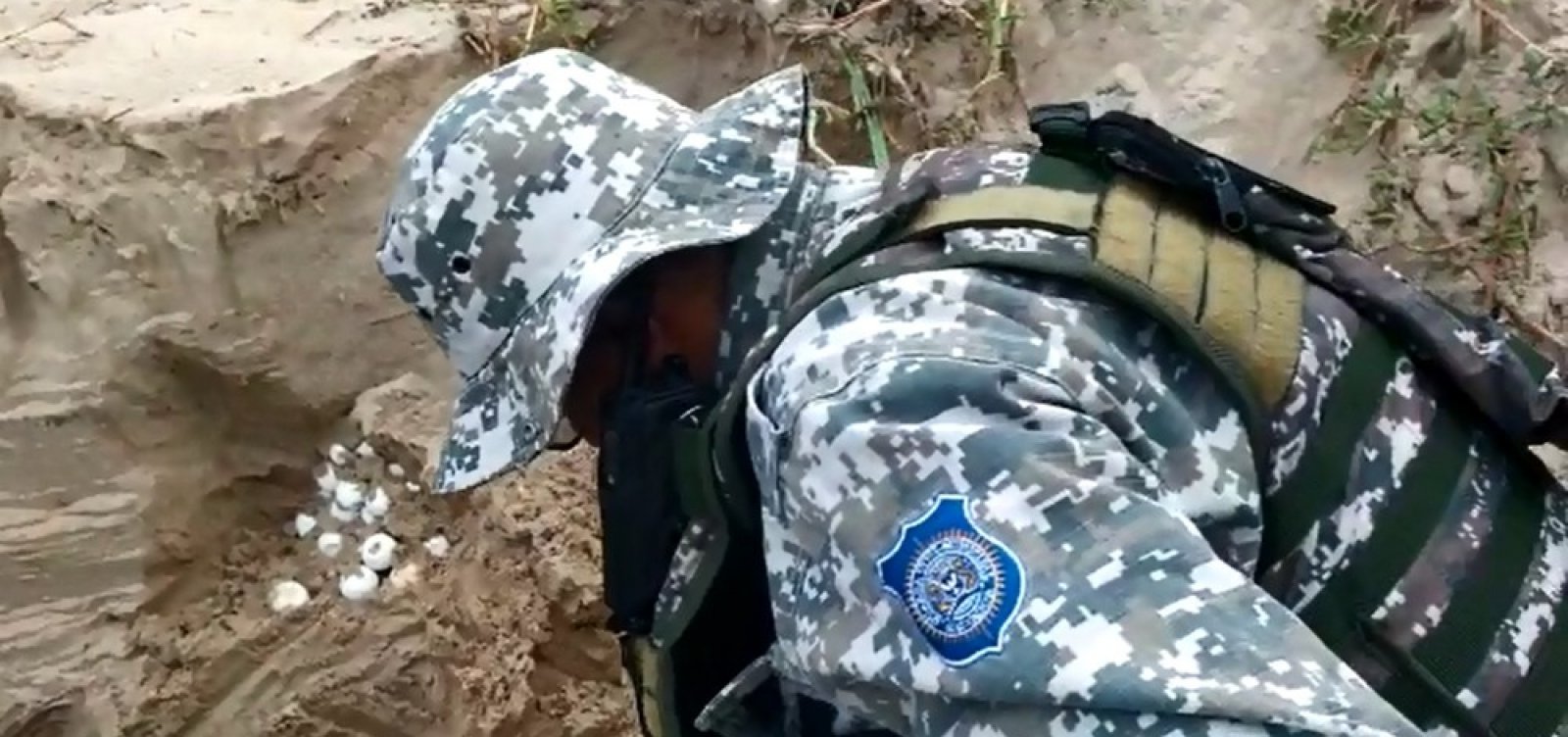 Guarda Civil resgata mais de 100 ovos de tartaruga em Patamares