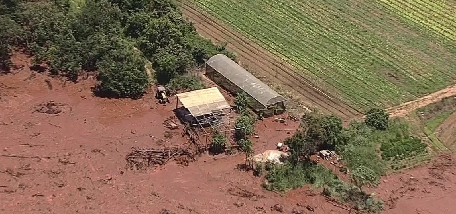 Comitê criado pela Vale diz que Brumadinho tinha problemas há 25 anos