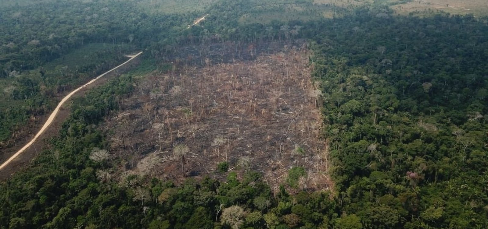 Presidente do Ibama publica portaria e restringe contato de funcionários com a imprensa