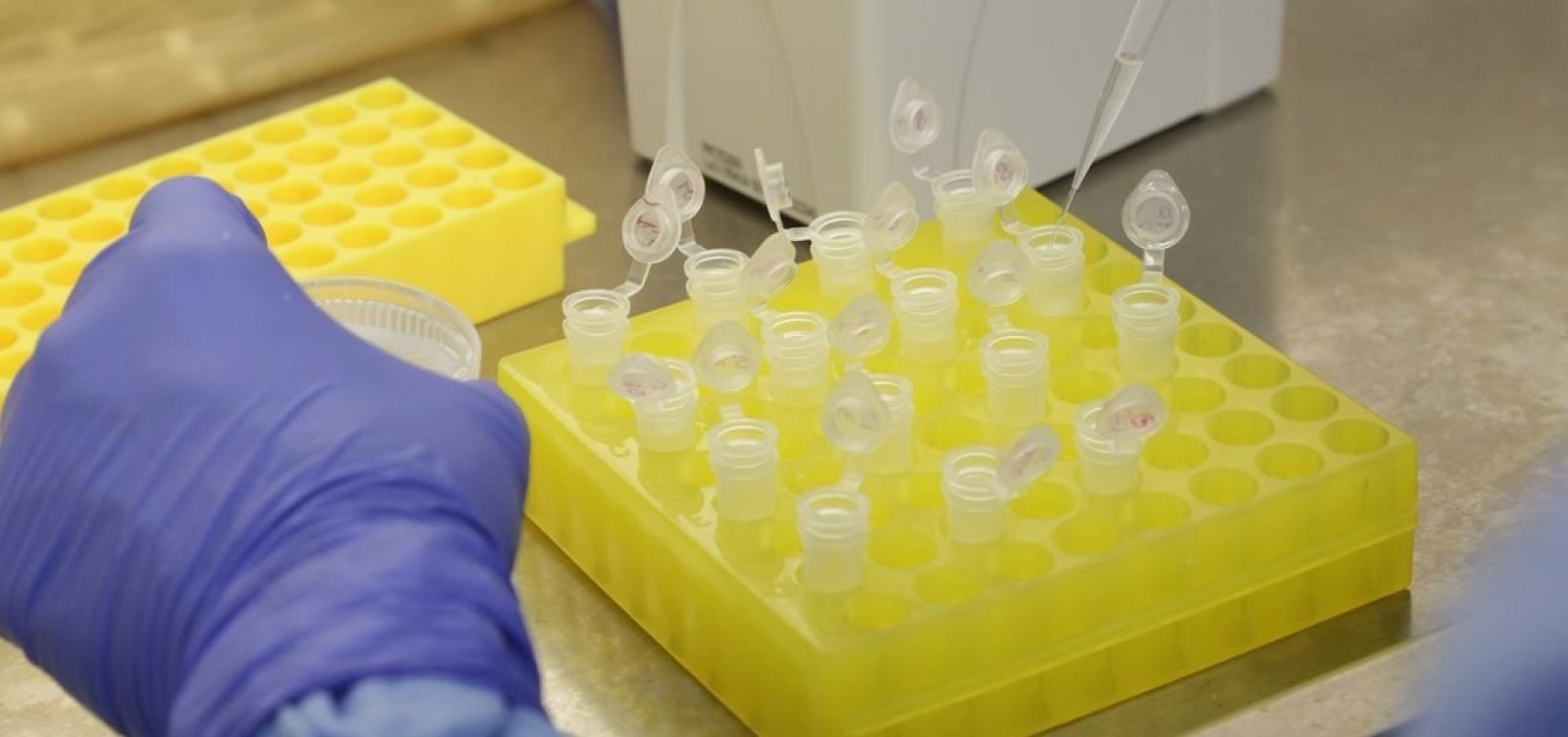 Testes rápidos para Covid-19 são enviados a mais de 60 municípios da Bahia