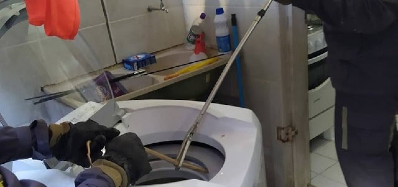 Barreiras: cobra é resgatada após ser achada dentro de máquina de lavar