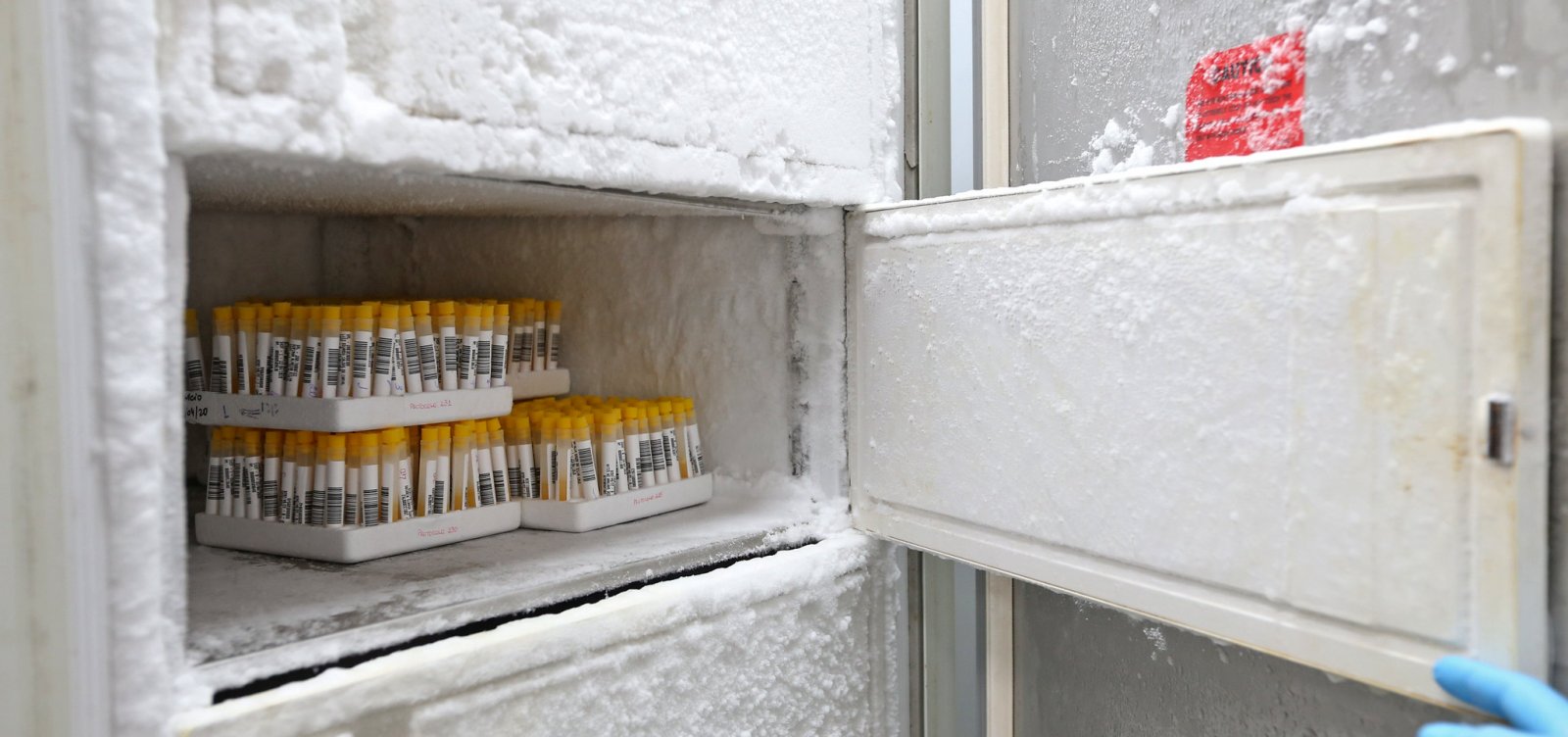 Sem novas mortes, Bahia registra mais 180 casos de Covid-19; total sobe para 3.495