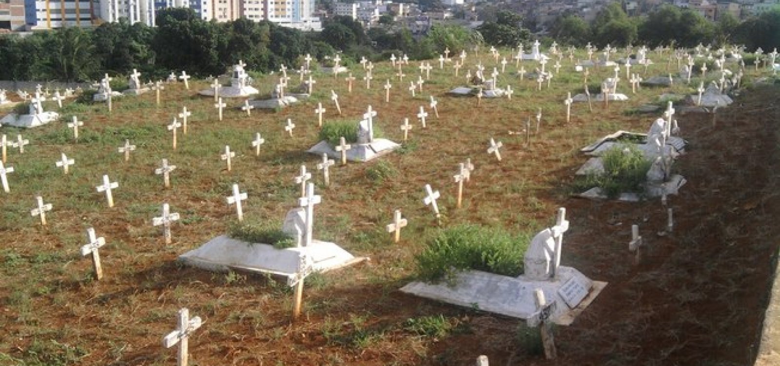 Prefeitura de Salvador faz cotação de preço para comprar 2 mil sacos de óbito para Covid-19