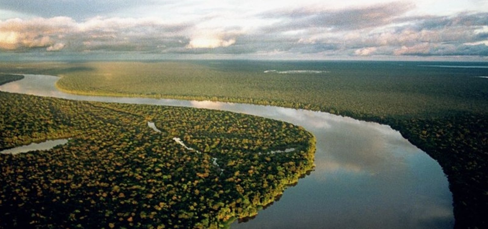 No Dia do Meio Ambiente, MP diz que governo Bolsonaro causou 'crescimento vertiginoso dos danos ambientais' 