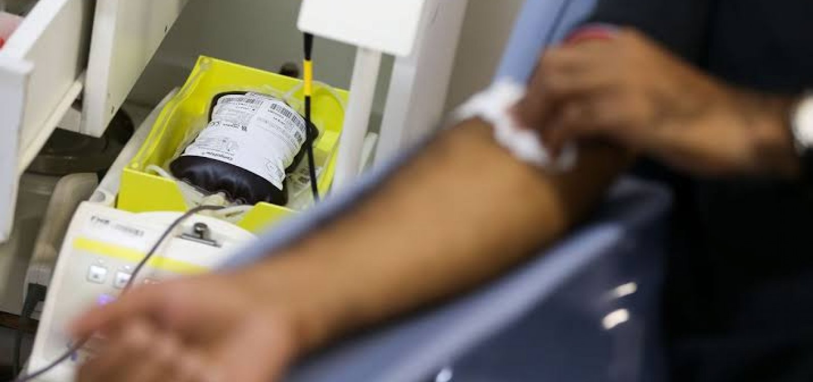 Anvisa vai contra decisão do STF e mantém restrição à doação de sangue por homens gays