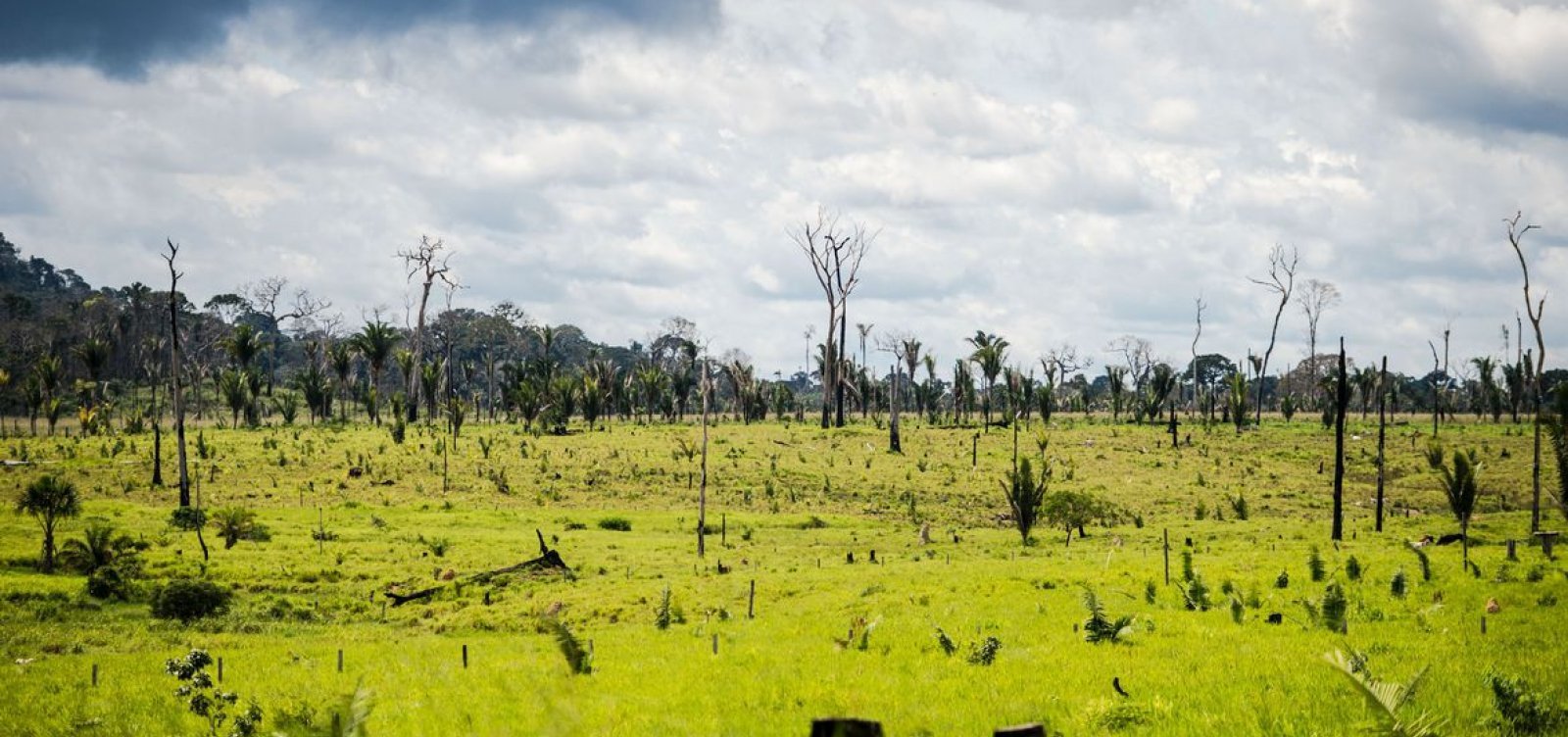 Governo prorroga decreto para proteção da Amazônia por mais um mês