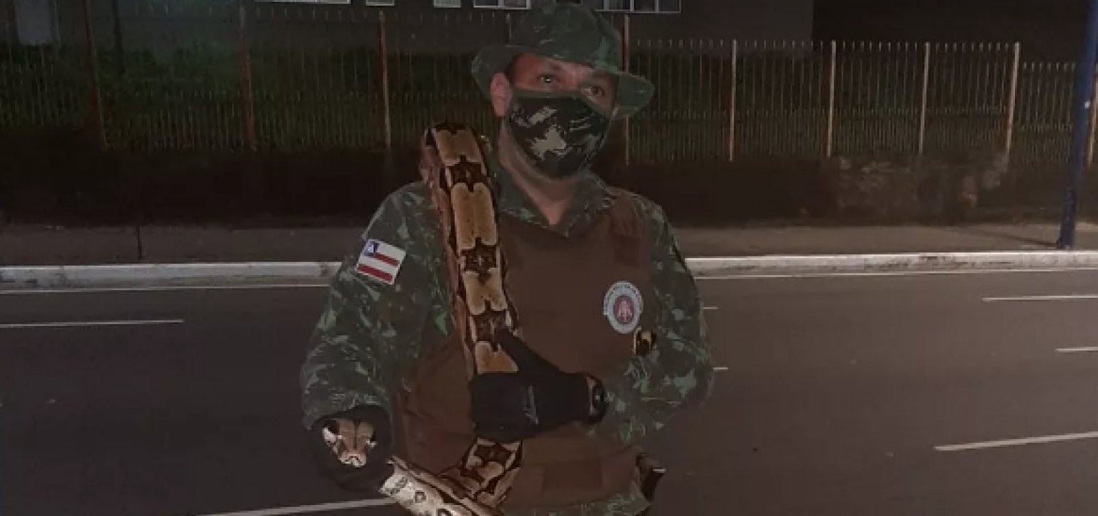 Jiboia com mais de dois metros é resgatada por policiais na Av. Mário Leal Ferreira