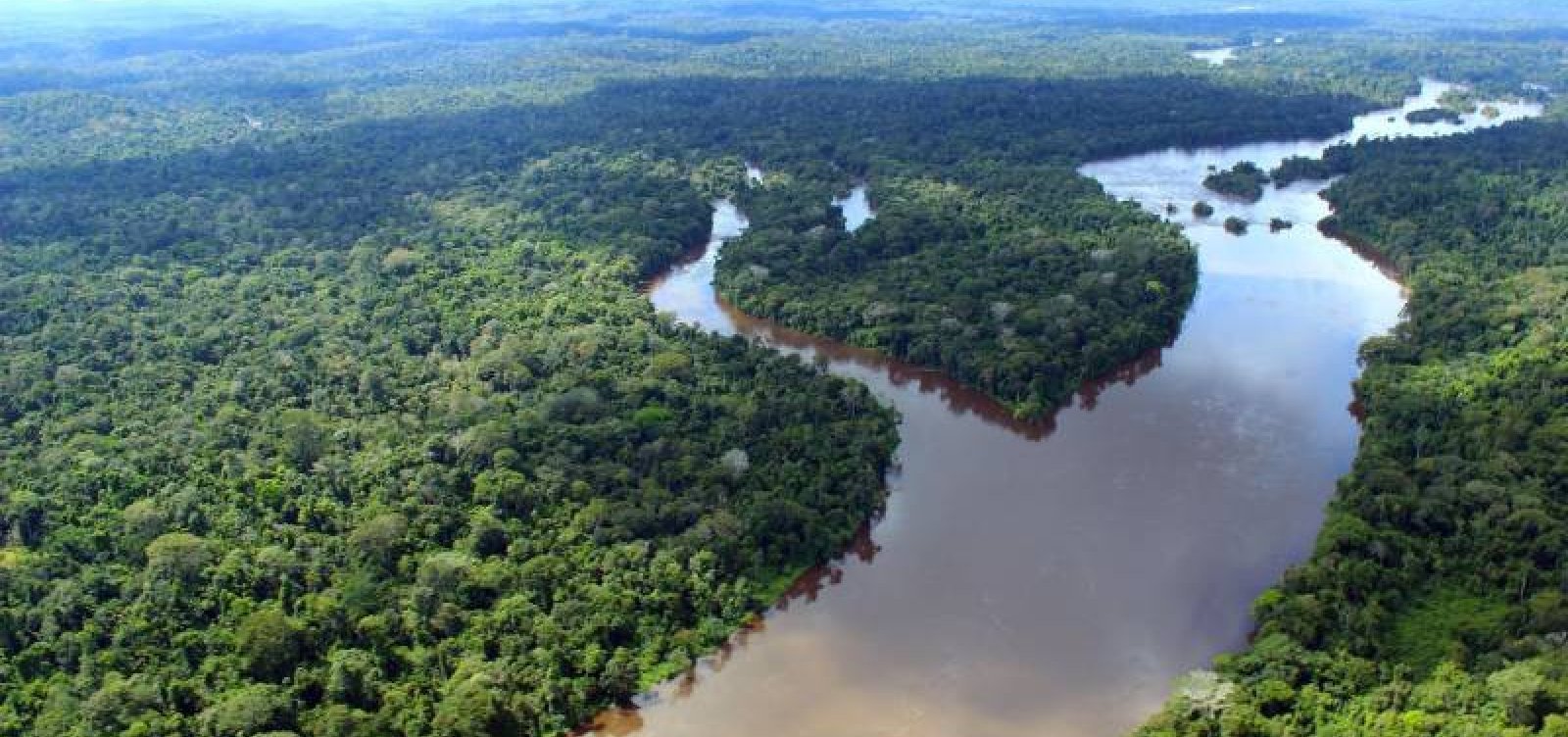 Ibama aplica o menor número de multas ambientais em 21 anos