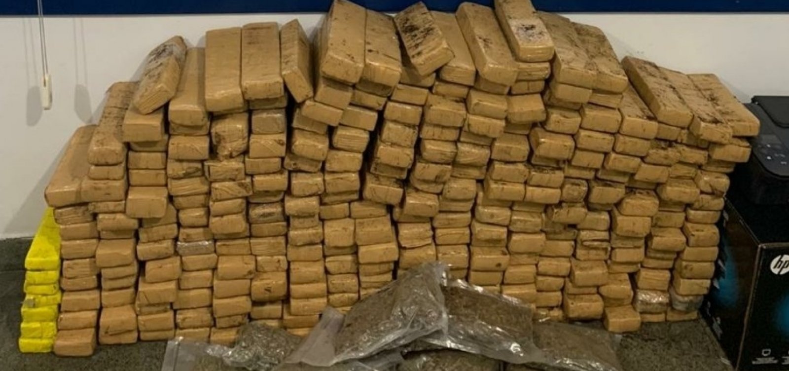 Mais de 180 quilos de maconha são apreendidos em ônibus clandestino na BR-116