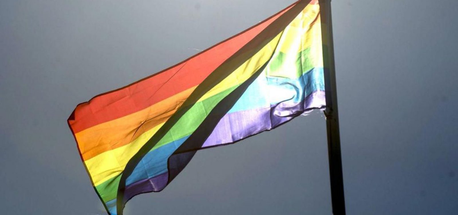 Paradas virtuais celebram Dia do Orgulho LGBTI em todo o mundo