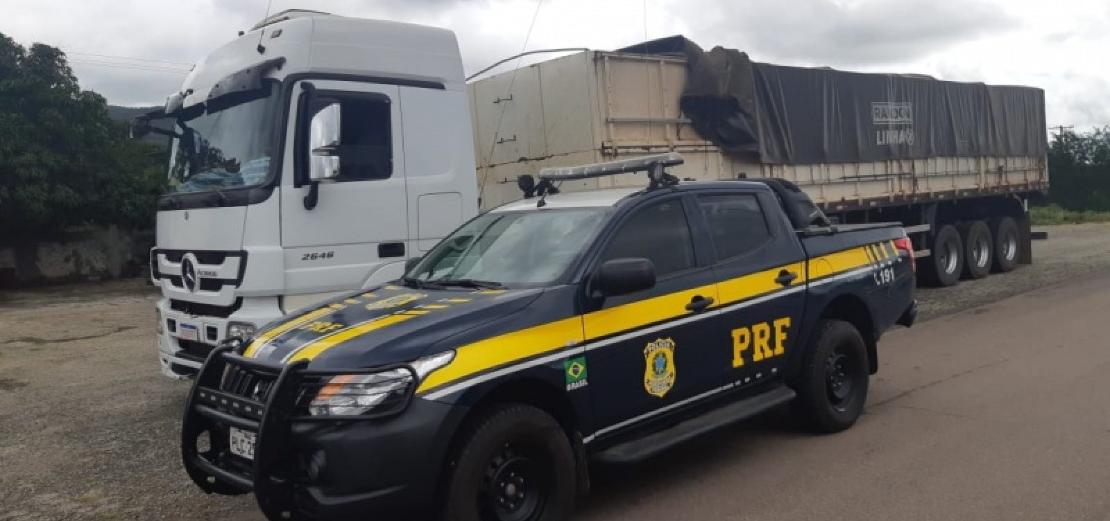 Motorista é preso após transportar madeira ilegal com documentos falsos