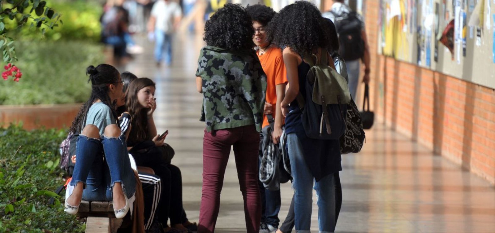 Inscrições para o Fies começam nesta terça-feira