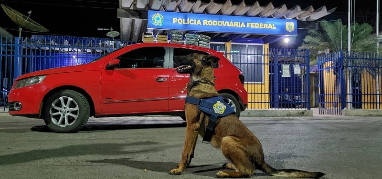 Com ajuda de cão farejador, PRF apreende 18 kg de drogas e prende suspeito de tráfico