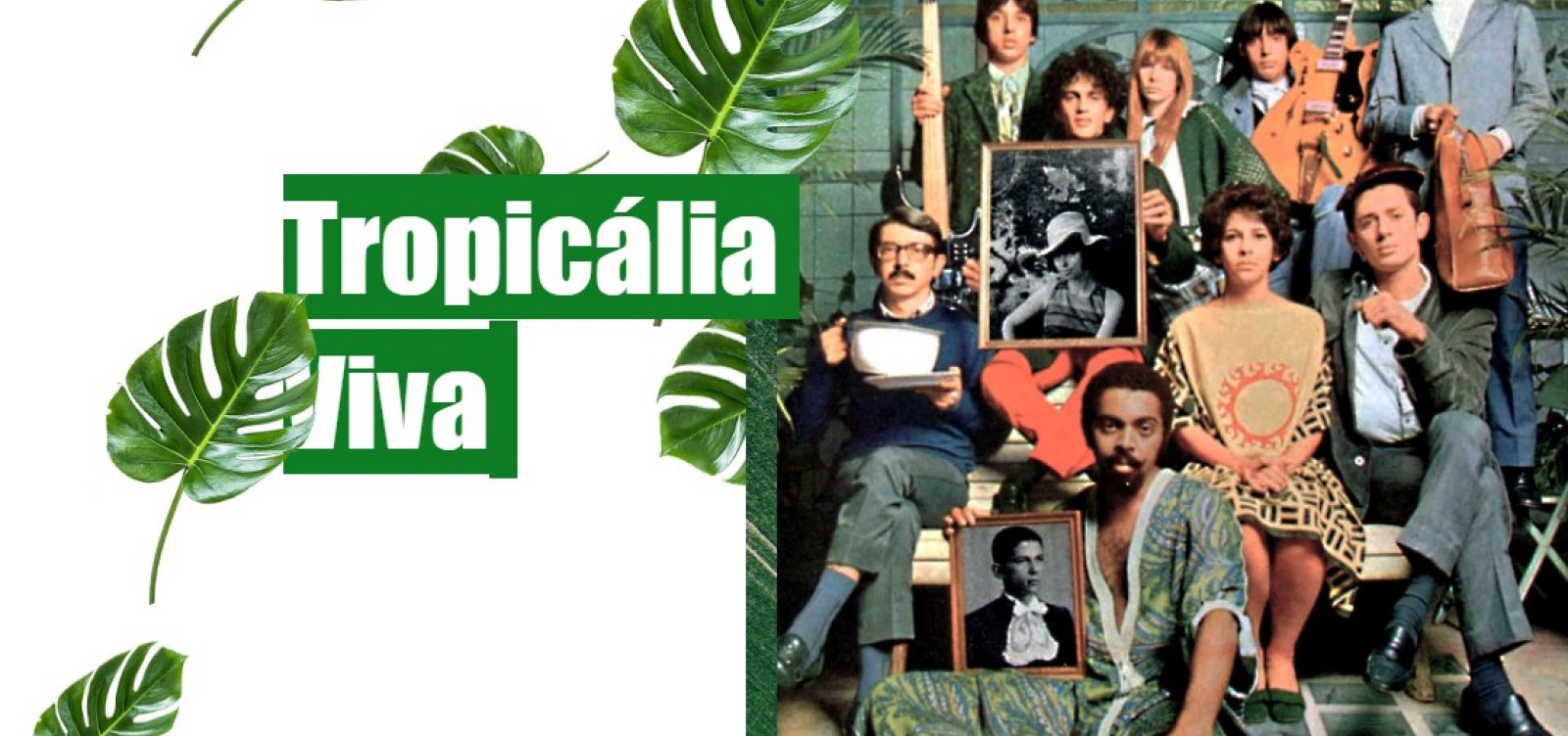 Após sucesso no Instagram, pesquisador lança site sobre Tropicalismo com área de estudo gratuita
