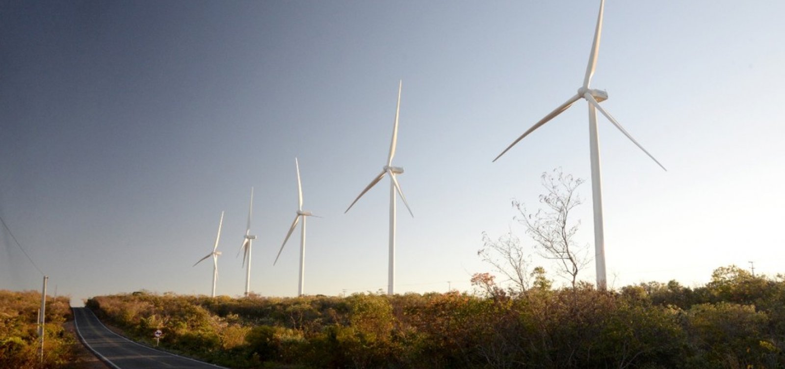 Energia eólica: Nordeste bate recorde de produção em agosto; Bahia é maior produtora do país