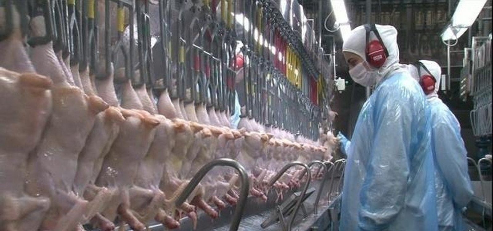 China detecta coronavírus em frango importado do Brasil
