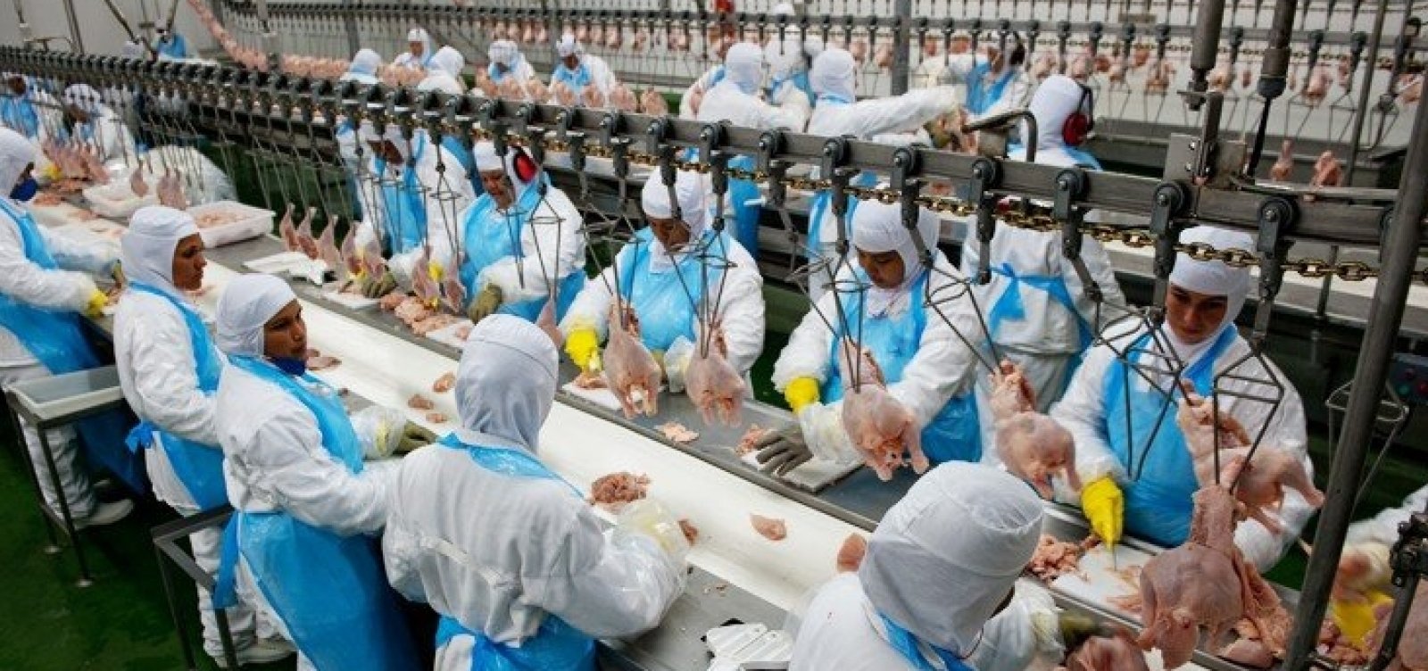 Filipinas suspendem temporariamente compra de frango do Brasil por medo de coronavírus