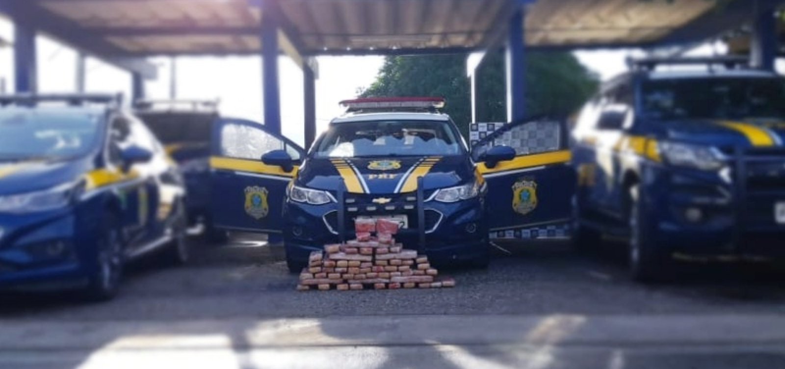 Casal é preso e 54 kg de maconha são apreendidos na BR-116