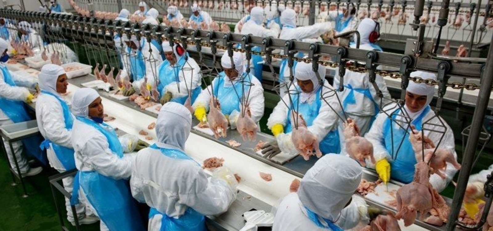 Amostras de frango importado do Brasil tem resultado negativo para a Covid-19 em Hong Kong