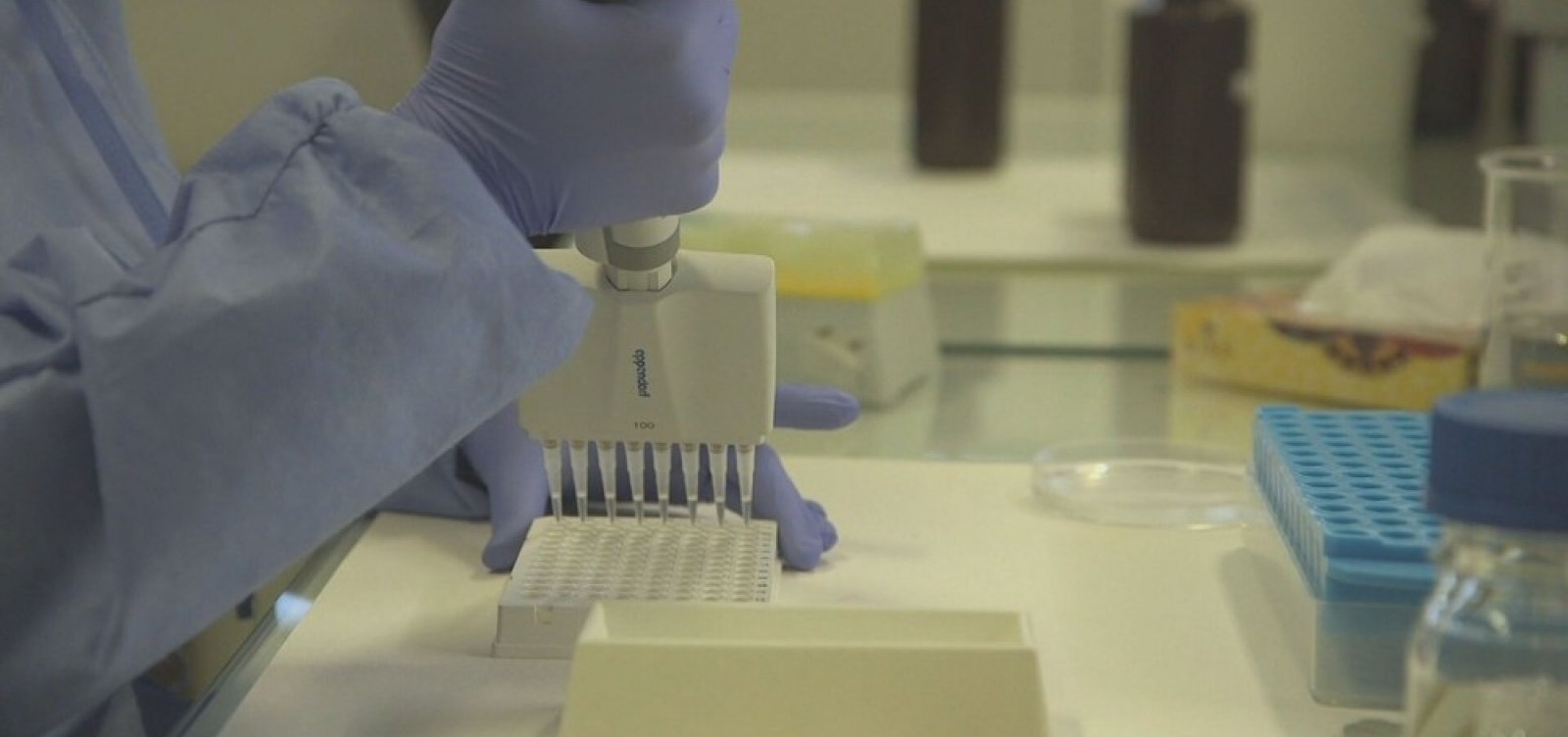 Ministério da Saúde diz que no Brasil não há casos de reinfecção da Covid-19 